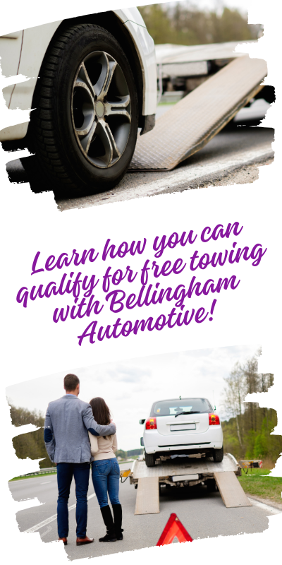 Bellingham Website Square Images (400 x 800 px)(9)
